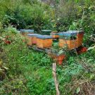 IMG_20211004_094653 (Kopiowanie)